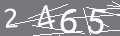 capsa